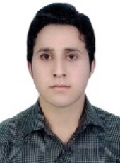 محسن حسن پور